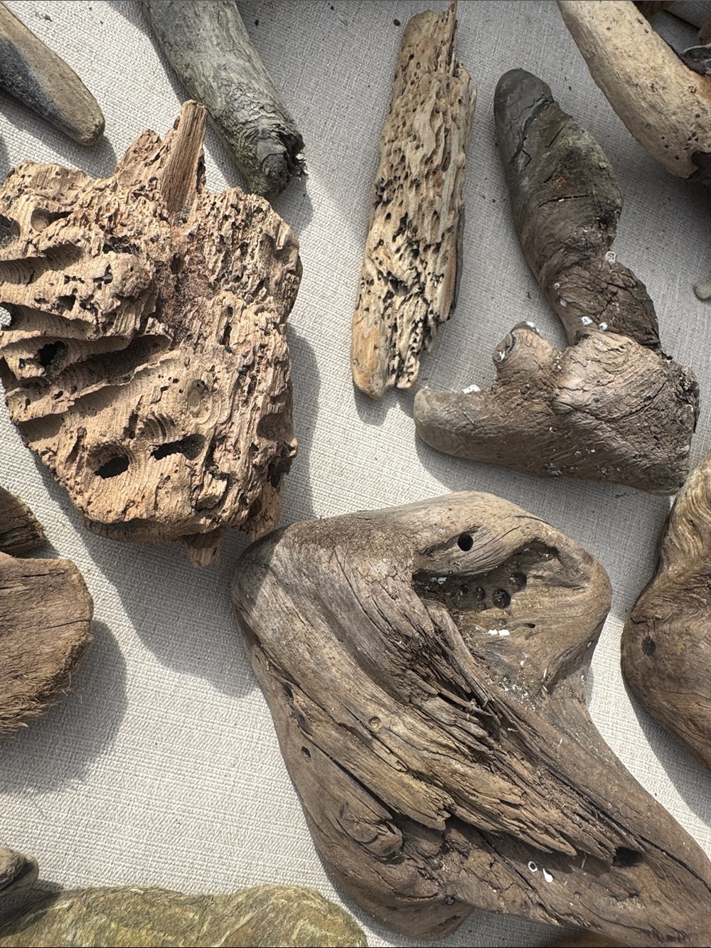 For LYNDA 19 pc (5 lb shipped) Natural Driftwood for Craft, Projects, Upcycle - Picture 5 of 16